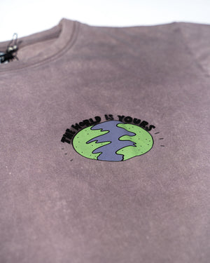 Remera Manga Corta The World Is Yours Gris